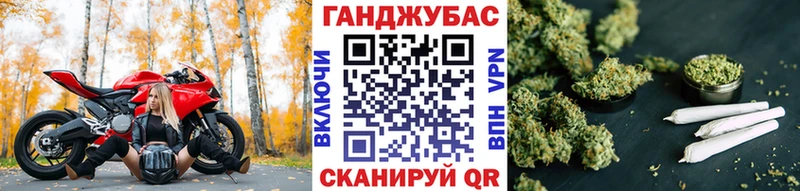 Где купить Курганинск Галлюциногенные грибы  Alpha-PVP  ТГК  Меф  Cocaine  АМФ  kraken ССЫЛКА  Гашиш 