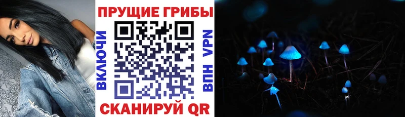 Галлюциногенные грибы ЛСД  цена   Курганинск 