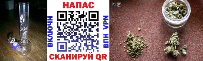 Бошки Шишки VHQ  Курганинск 